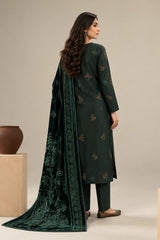 Back view of dark green suit showing embroidered back, sleeves and velvet shawl